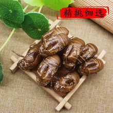 �s͑ ���l�F؛ �s�� �x�� ֪��Ƥ ���Ă�ș�I�����s͑����؛