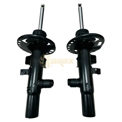 Shock Absorber with – damping system