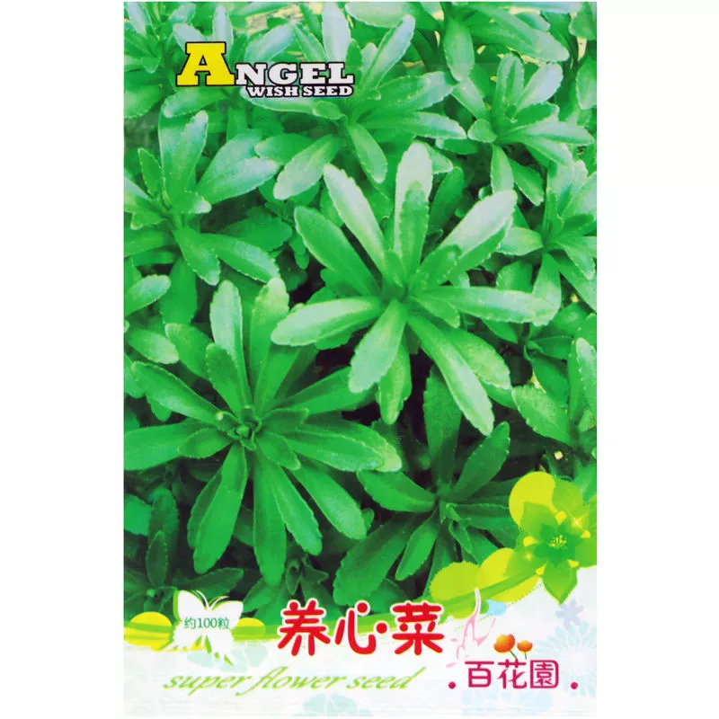 Семена питательного для сердца растения из сада ста цветов, многолетнее питательное для сердца растение, семена питательного для сердца растения, специальное питательное для сердца растение в горшке на балконе.