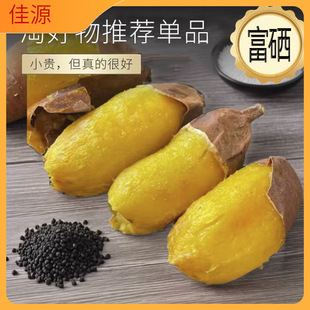 �����ڡ��ձ���ɯ��t��|��ɳ���S����ɏ���������S�Ŀ��عϿ�ƽ