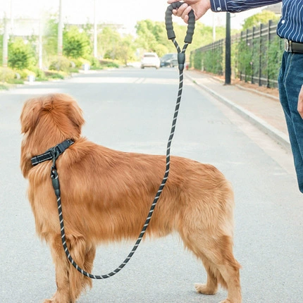Оптовый набор: светоотражающий поводок из нейлона, ошейник, шлейка для собак, цепь для маленьких собак