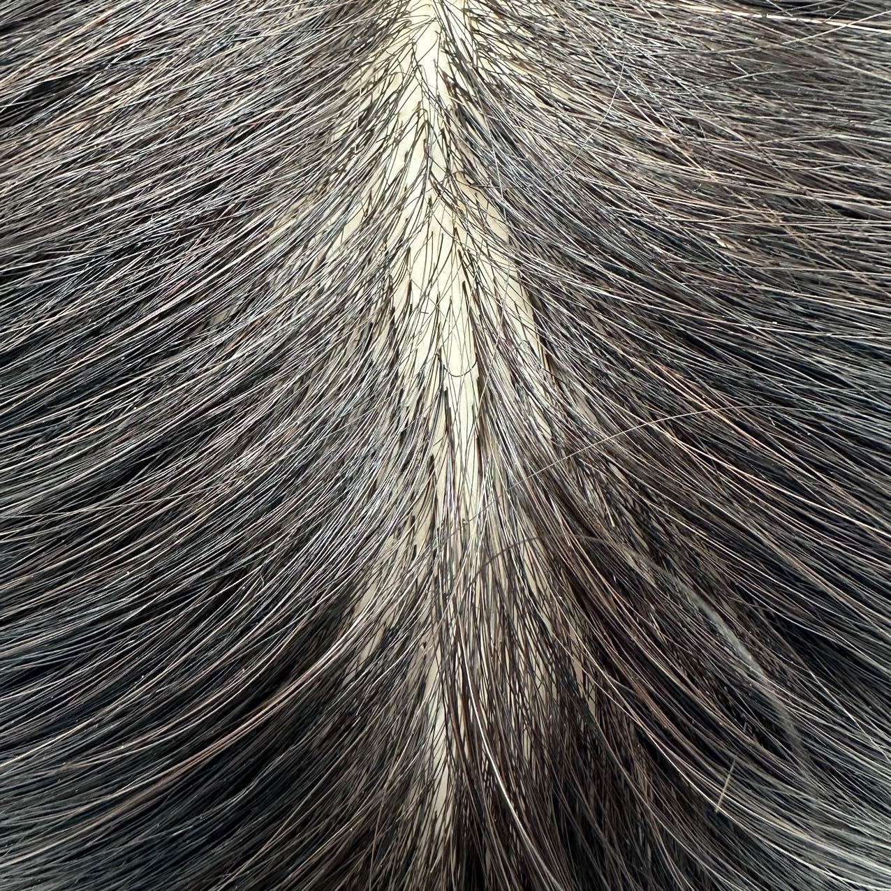 Perruca de cabello verdadero modelo de cabeza de entrenamiento de cabello trenzado modelo de cabeza de entrenamiento de cabello de cabello verdadero modelo de cabeza de corte de soplado