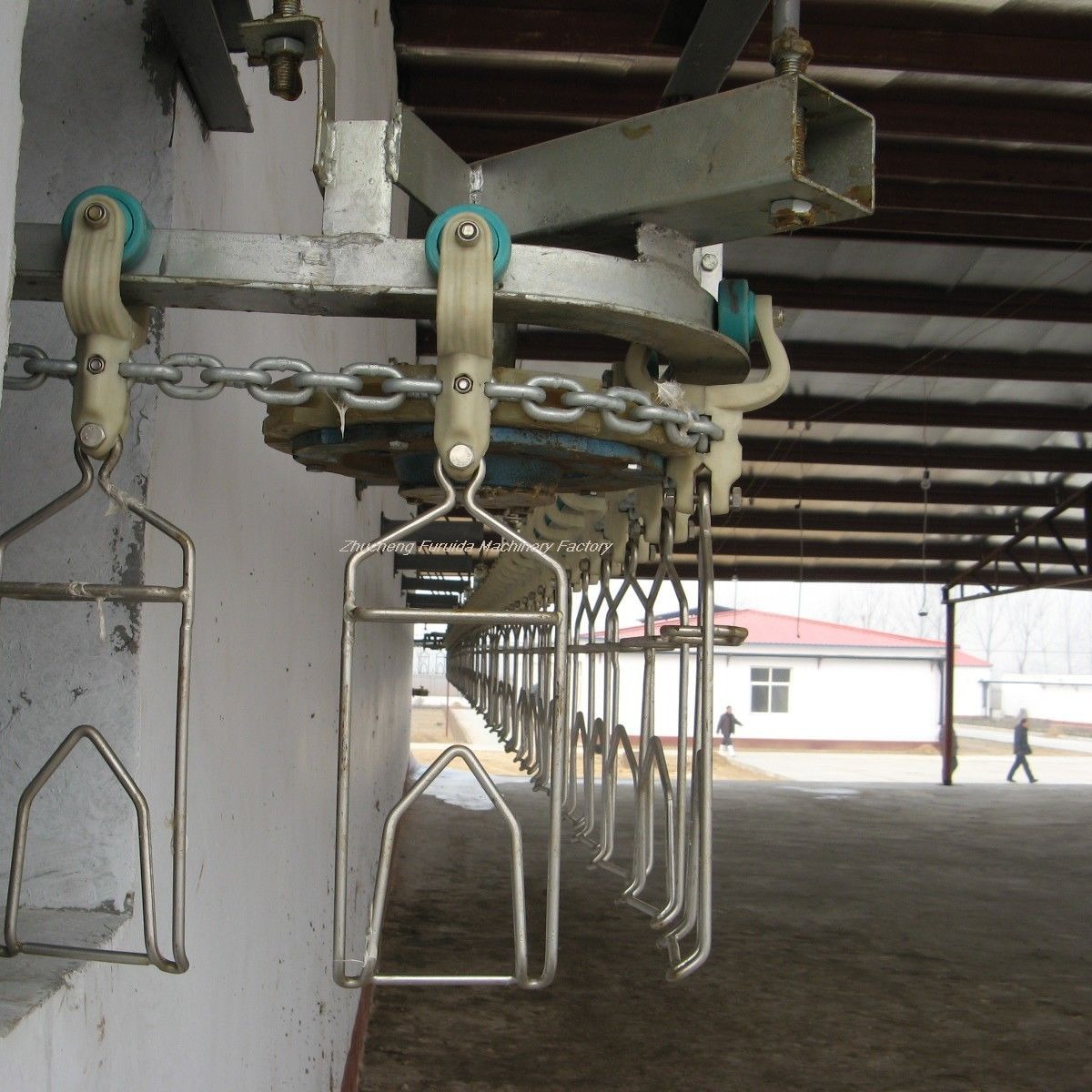 供应家禽 鸡鸭鹅屠宰流水线 淘汰蛋鸡 三黄鸡宰杀线成套设备