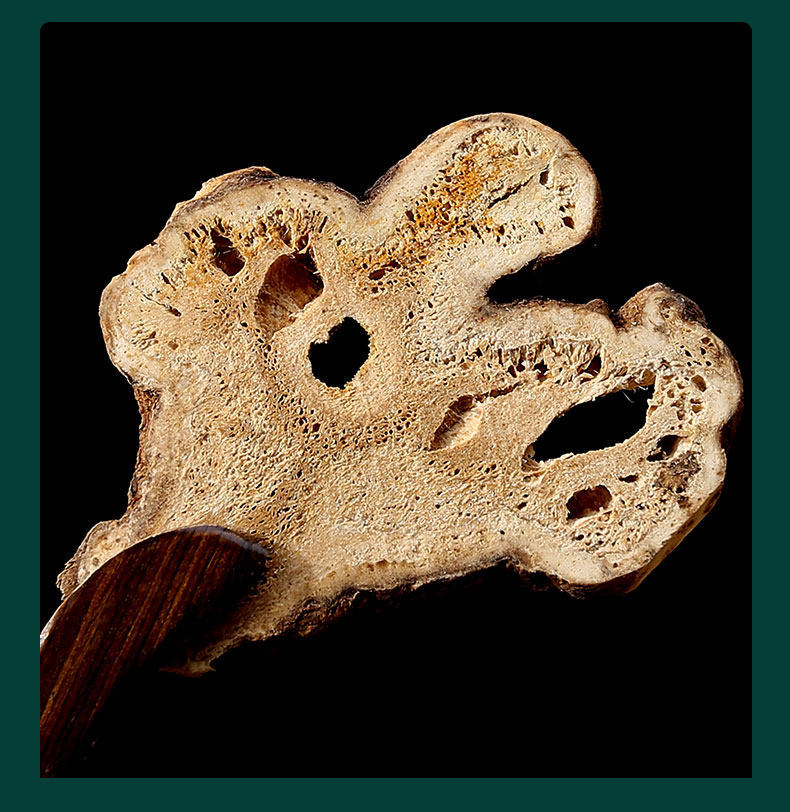 White Atractylodes Rhizome Bai Zhu 500g Stir-Fried Sliced Zhejiang Atractylodes macrocephala for Decoction specifications