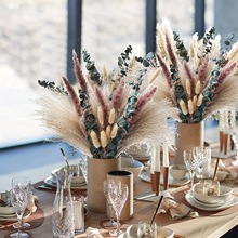 热卖小芦苇干花花束天然蒲苇潘帕斯跨境拍摄道具酒店装饰摆件礼品