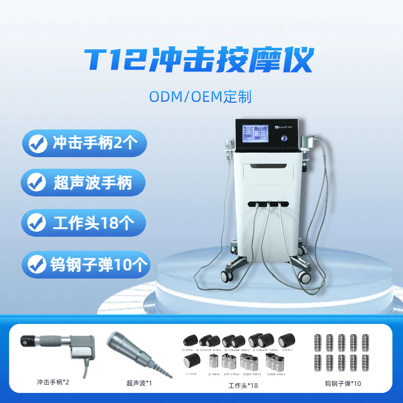 T12 수직 충격 마사지기 + 5세대 충격 핸들 2개 + 근막 핸들 + 업그레이드된 작업 헤드 18개 + 텅스텐 강철 총알 10개