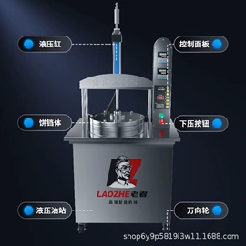 其他厨房电器;按摩披肩;高压水流清洗