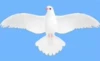 Cartoon kite, 30cm, 60cm, 30meter