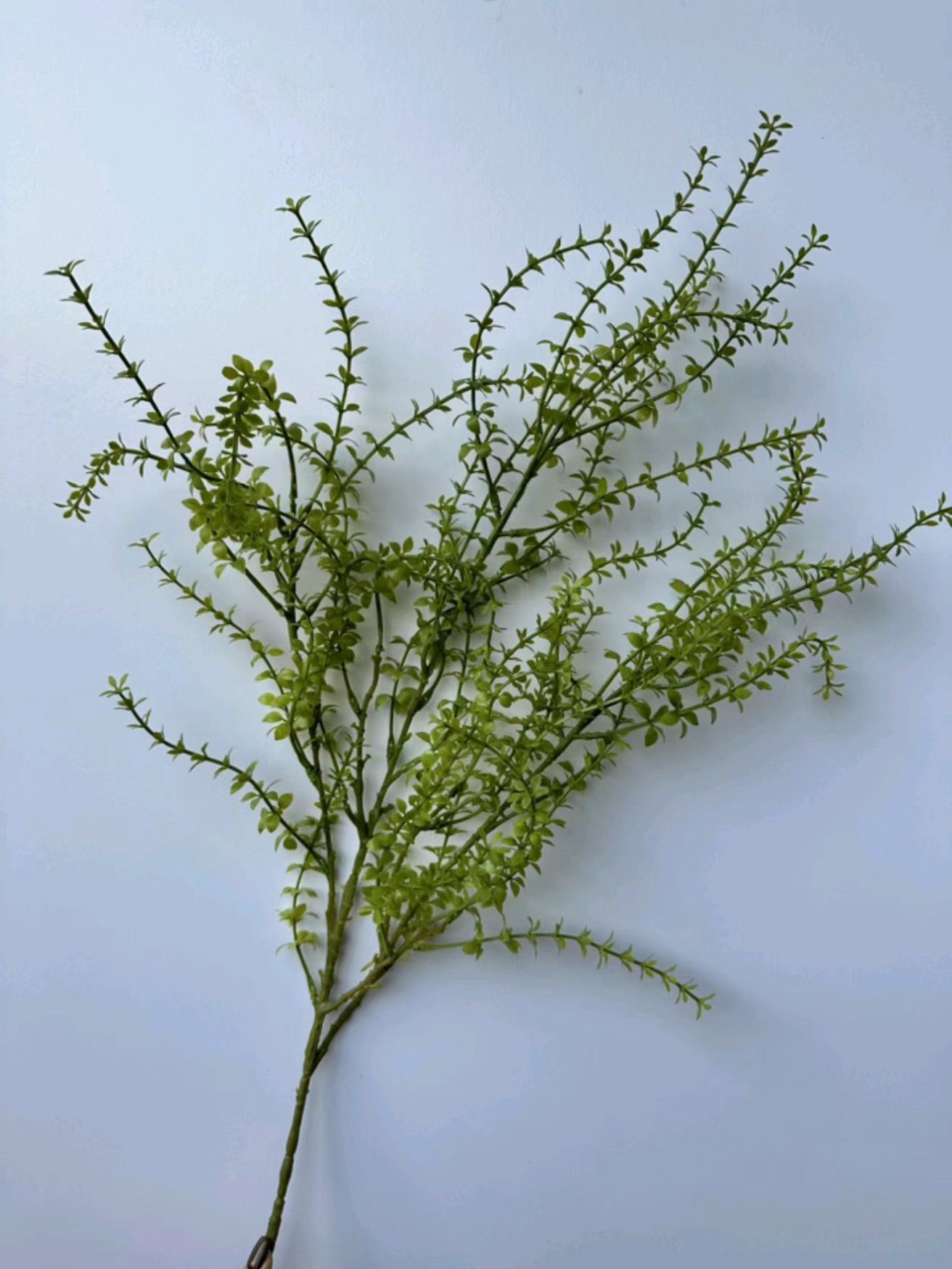 微信图片_20240220131601