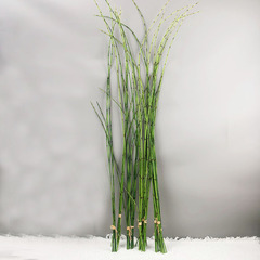 竹節草の延長木賊の花芸の装飾の生け花の配材の置物の客間の緑の植栽の装飾のホテルの細い竹をシミュレーションします。