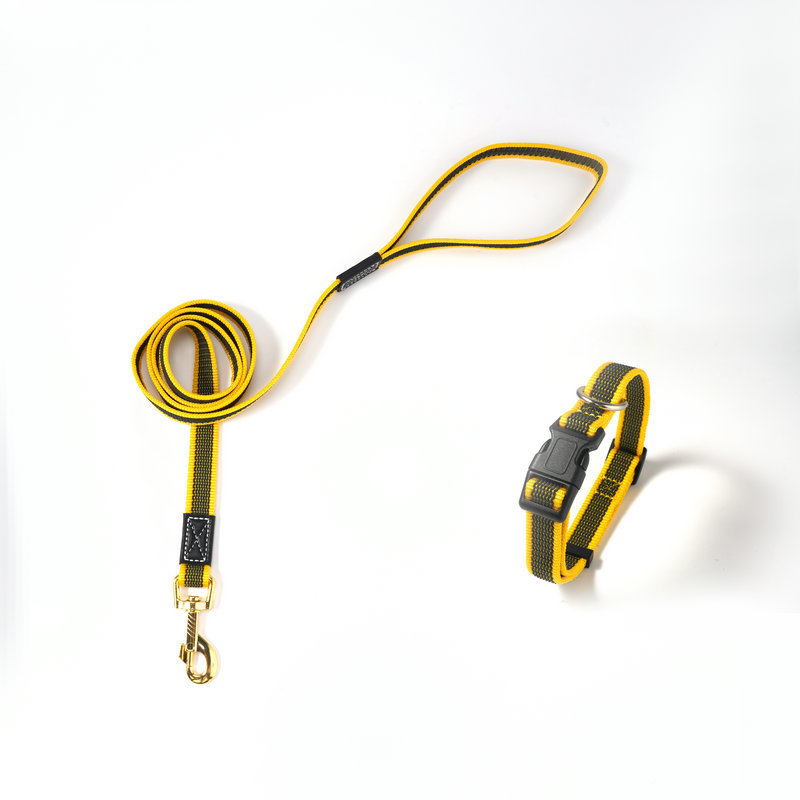 노란색 견인 로프 + 칼라