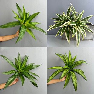 20�~���������F����Gֲ�쾰�Gֲ�辰��������F�~�Ҿ�ֲ�������m