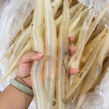 �����������~�� �X�~�ǣ��X�� ��؛�~�z �����z�|��21-23�^/��