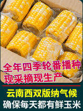 ���ˮ�������׶���հ��b�_����ʳ���׌W��������͵�֬�������