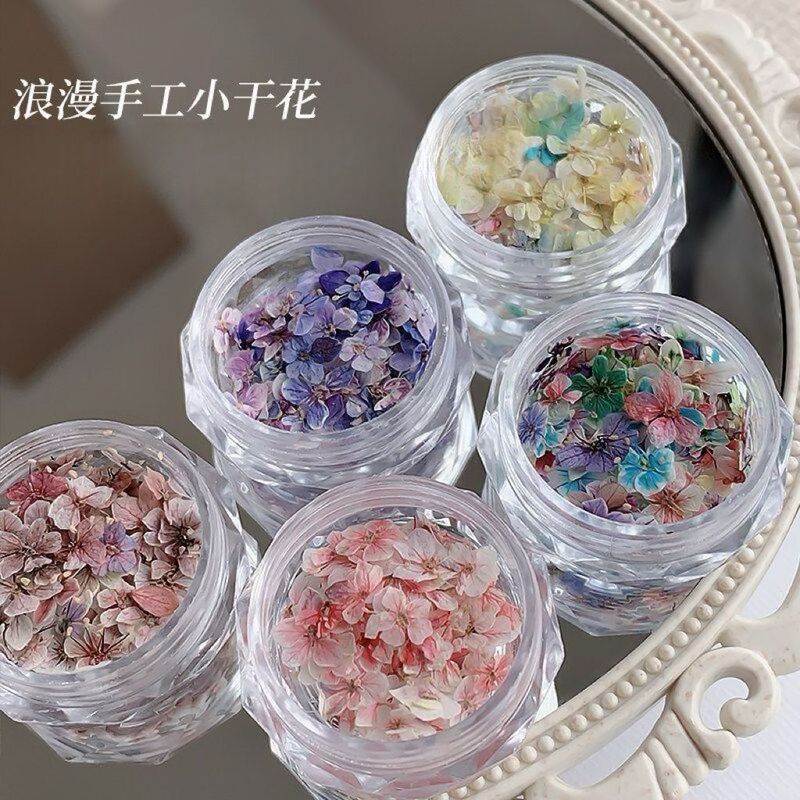 Mixed Dried Flower Materials for Nail Art, Monet Garden Exquisite Five-Petal Flower Materials, Flower Decorations, Small Floral DIY Materials
