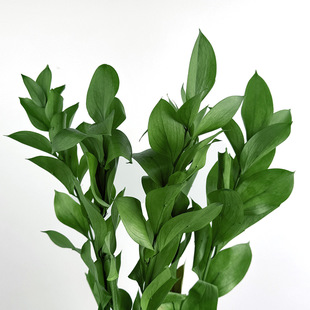 �������M�ڽ��~���|�滨�ɻ�����DIY���˹��ֹ�������Ϲ��S���l