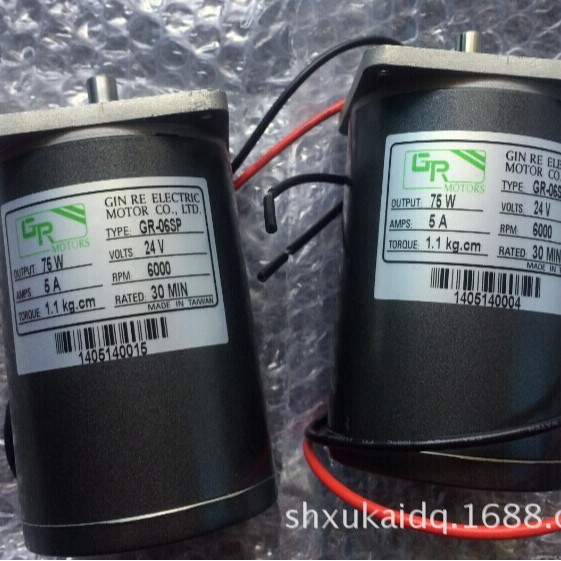 GR直流电机GR-06SGN 3GN10B