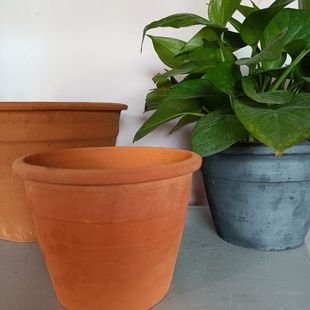 ��ʽ������͸�����������؟����ռt���մɶ���С����ڏ�19����