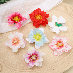 ���Ļ�����l�AŮ2024�¿��^���l����A��ǰ�~��߅�l�����A