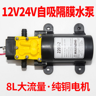 Mini Small Micro Dc Diaphragm Water Pump 12V24V Electric Sprayer High Pressure Water Pump Self-priming Pump