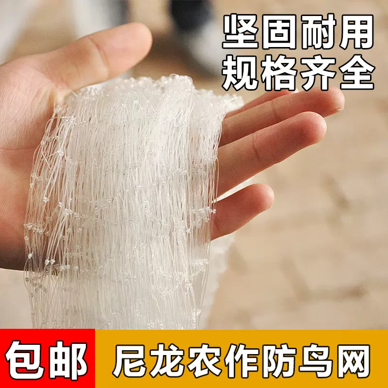 果树防鸟网樱桃葡萄果园大棚用的尼龙纱网丝网防护罩鱼塘养殖天网