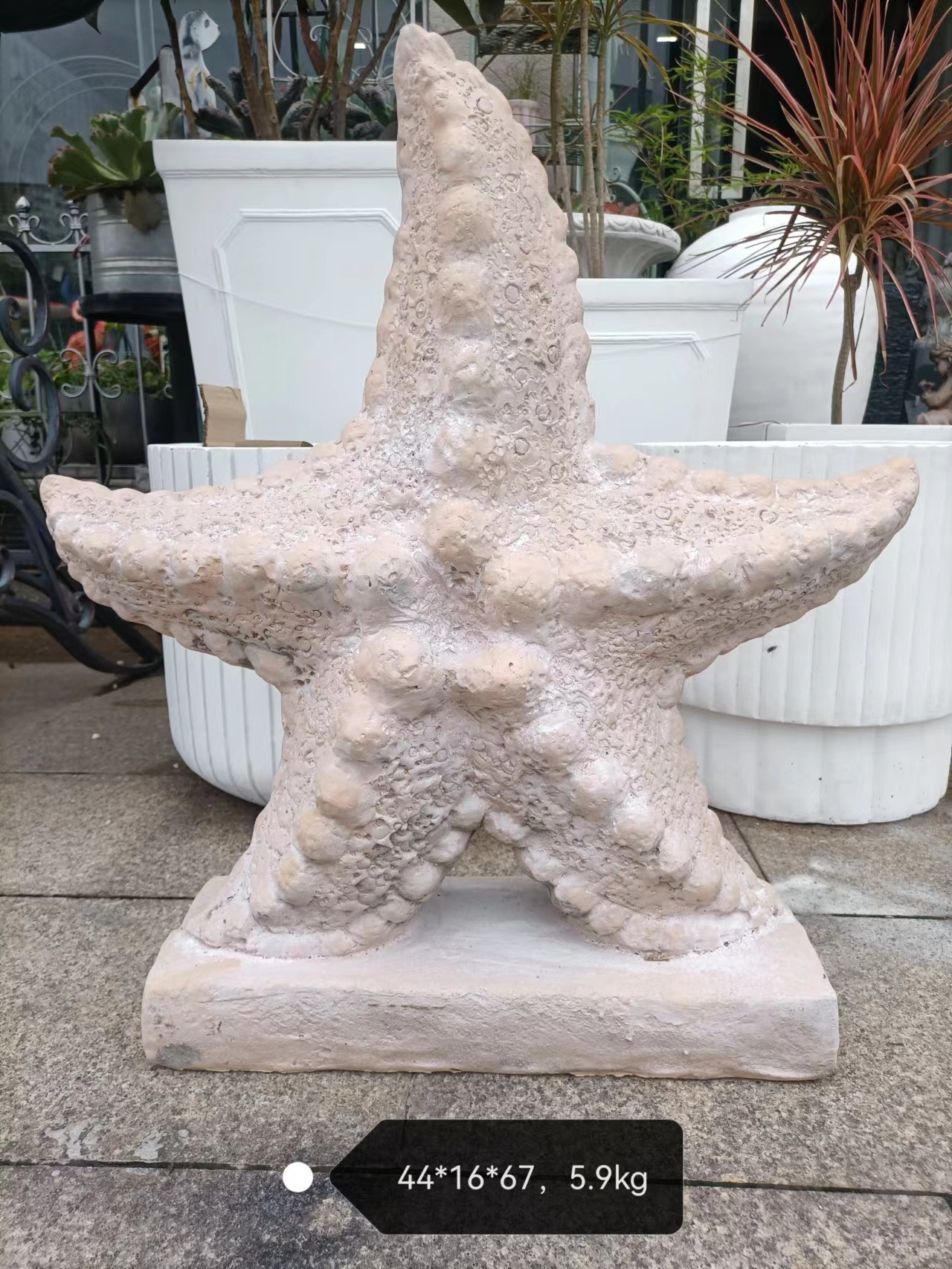 산화마그네슘 오각별