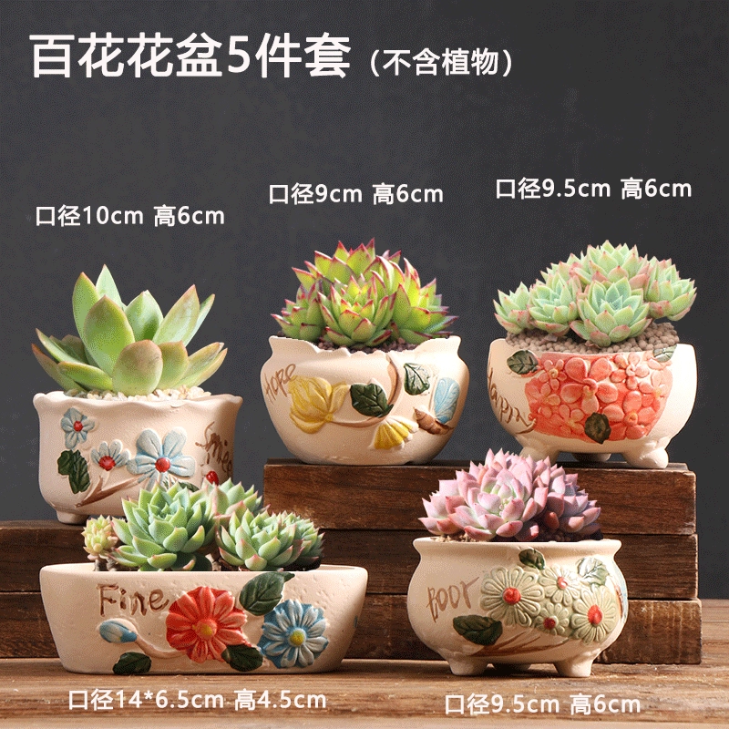 Creative Ceramic Flower Pot, Handmade Factory Direct, Assorted Decorative Designs, Small 7–10 cm