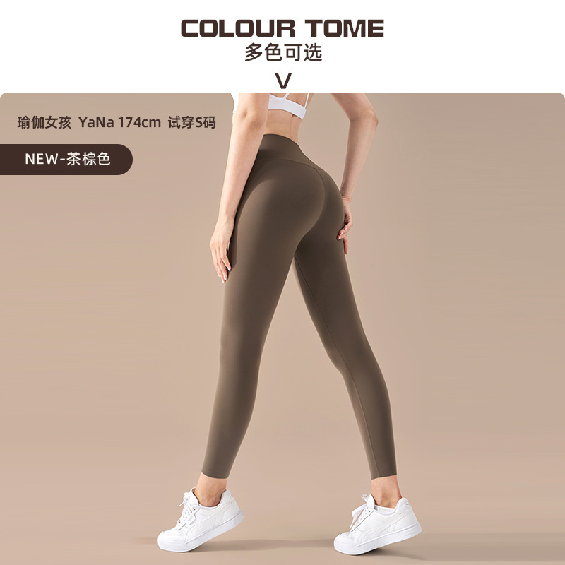 티브라운티브라운