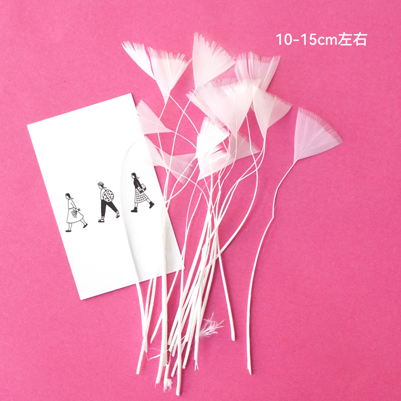 SKU-56-深灰色 白色31号蝴蝶羽毛50只.jpg