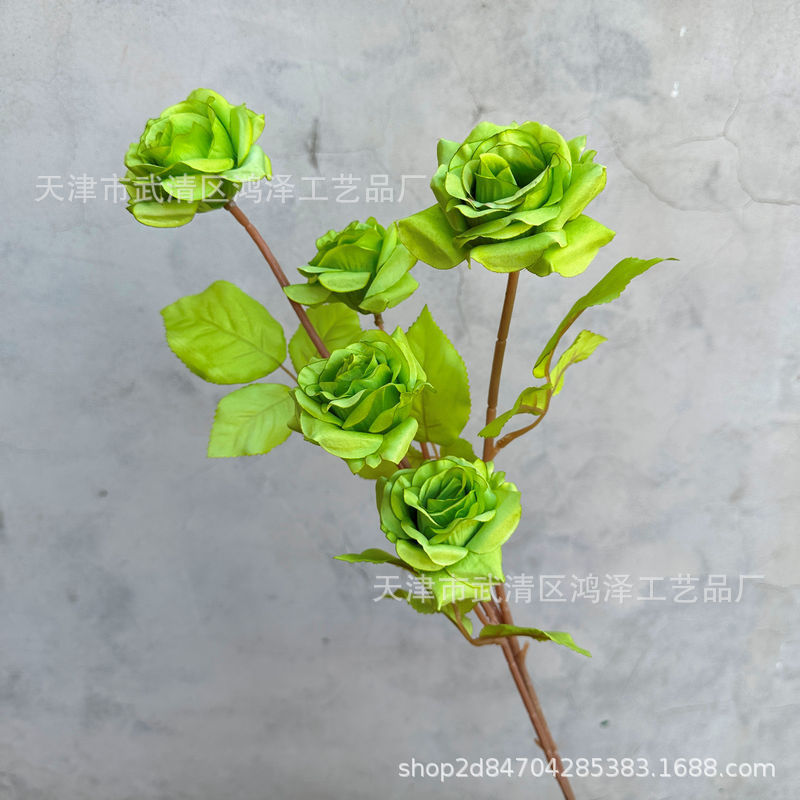녹색