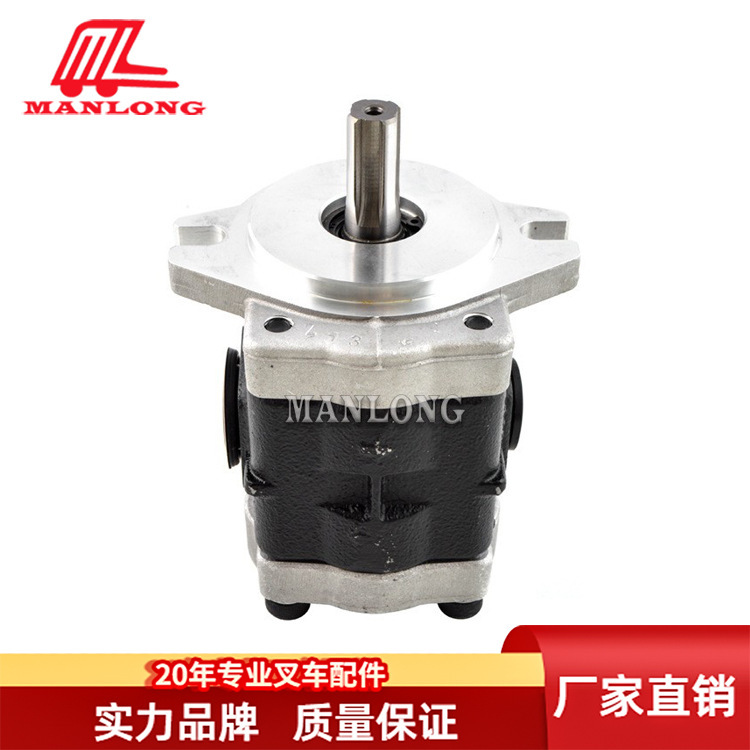 Suitable for Haimai Forklift Accessories Hydraulic Pump 4t Dsg05C16F9H9-R005C