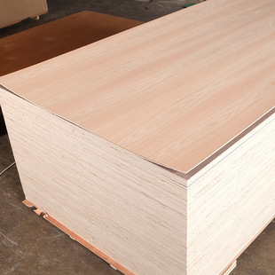 �t����ľƤ�N�����bľ���ľ�y����5mm���y�N���z�ϰ��o����