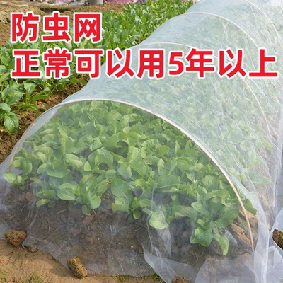 Insect-proof netting for agricultural vegetable greenhouses, insect-proof mesh for farming, fly-proof netting for pig farms, mosquito and willow catkin protection