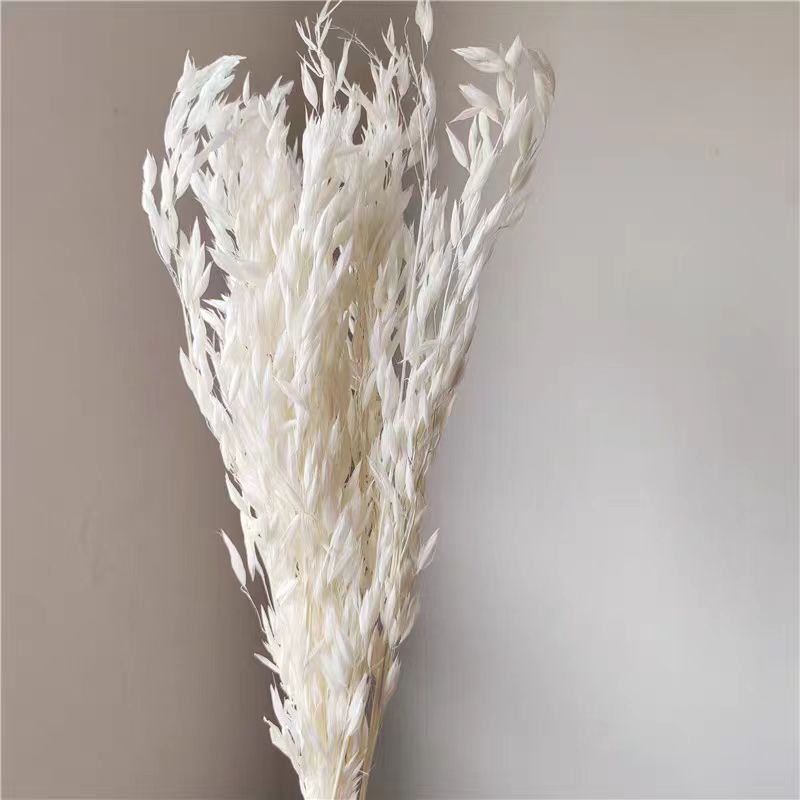 화이트 귀리 스틱 30개