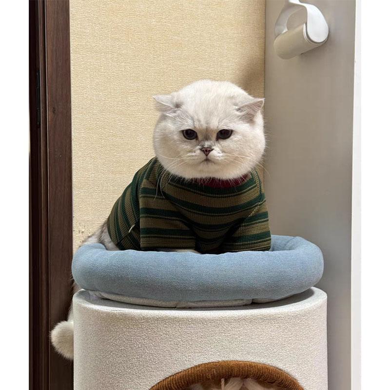 Primavera y verano delgada ropa de mascota para gatos Teddy Bear Boomerang pequeño cachorro rayas camiseta de cuello redondo