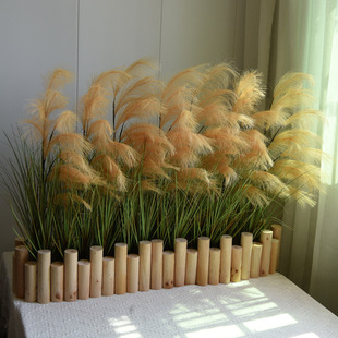 ����ë�JȔ�ݻ����쾰�҃��b������÷��b�ꙻ�������g���^