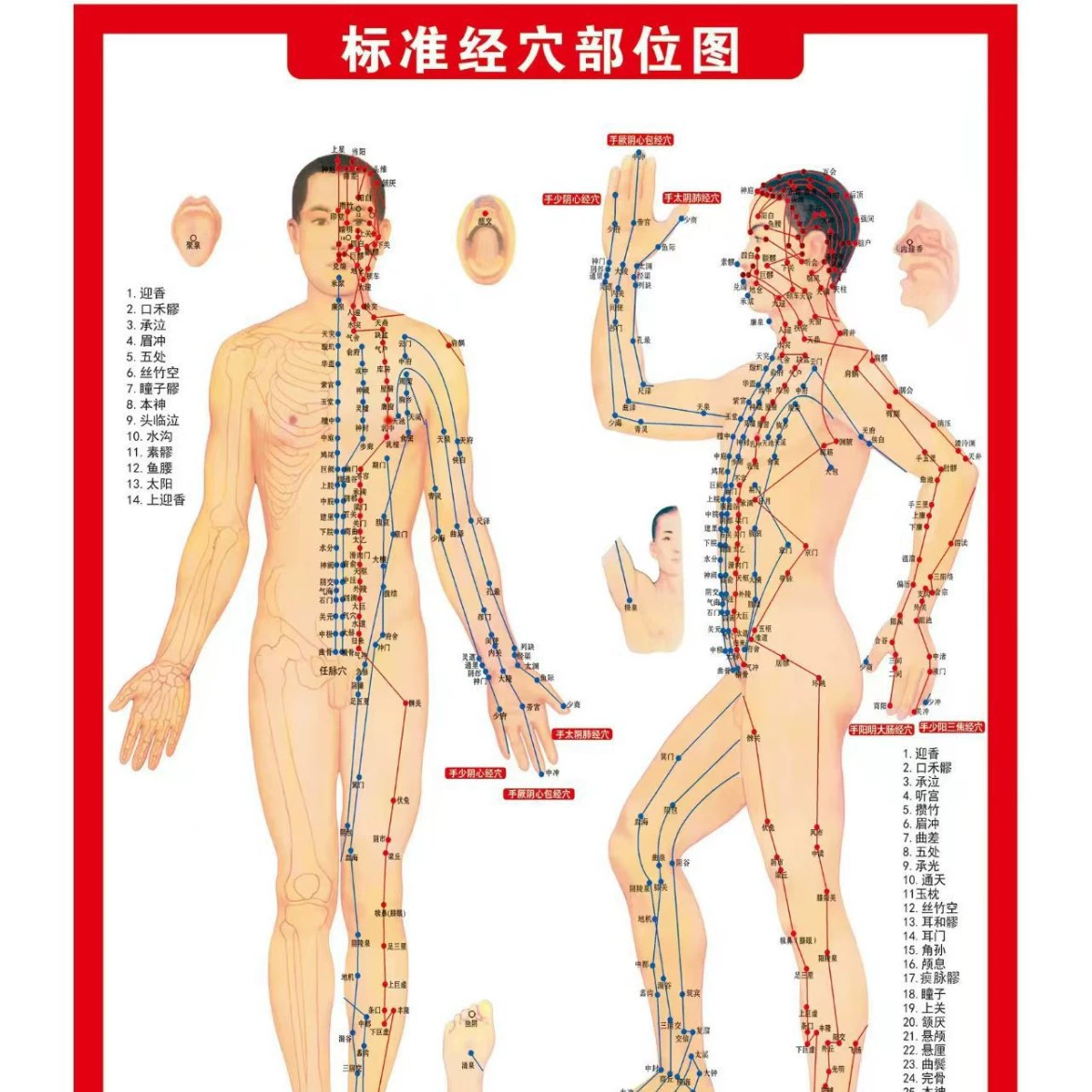 Схема акупунктурных точек человеческого тела, настенная диаграмма акупунктурных точек, бесплатный образец высокой четкости, клиническое руководство для обучения традиционной китайской медицине