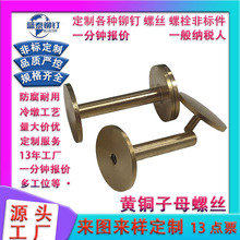 ���ƹ��ֽ�ɫ���Q���i�ݽz Ư���Ա��b����ݽz�A���^��ĸ�~���