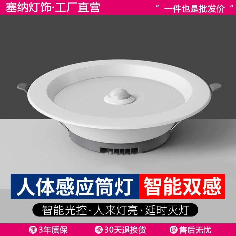 Светодиодный Интеллектуальный индукционный светильник с голосовым управлением, встроенный потолочный светильник, бытовой потолочный светильник, прихожая, проход, коридор, прожектор