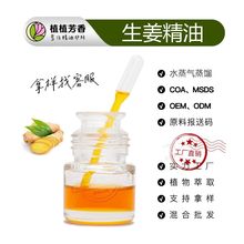 ������ Ginger Oil ���s��ȡ�������� �ݱ����͏S�ҬF؛�ӹ����l