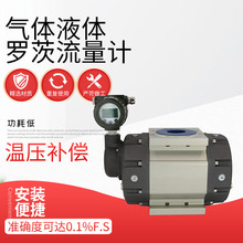 高精度罗茨液体流量计纯净气体流量仪表气体液体测量厂家供应