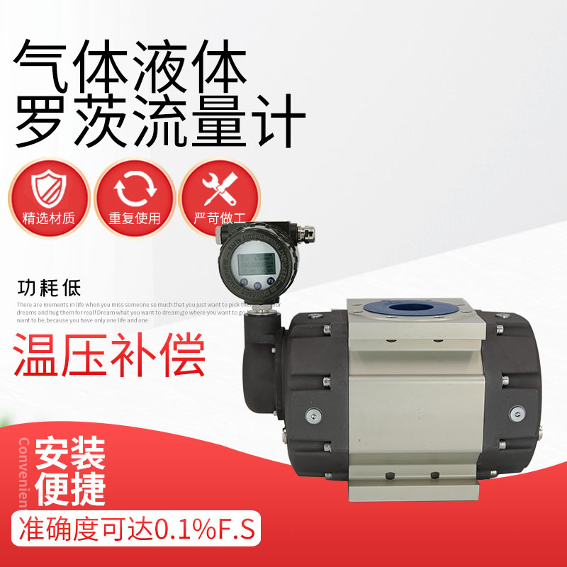 高精度罗茨液体流量计纯净气体流量仪表气体液体测量厂家供应