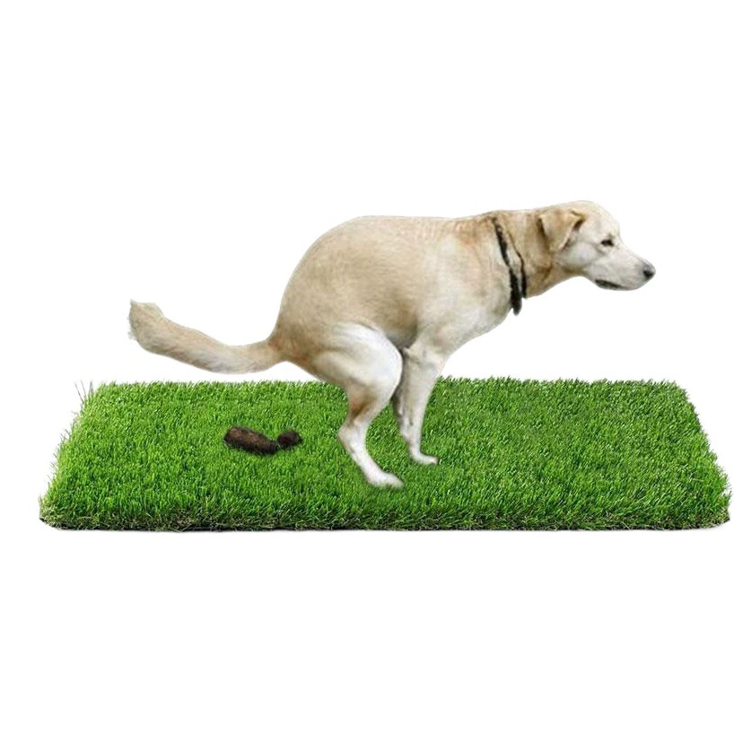Домашняя собака туалет туалет для собаки, мочиться на газоне