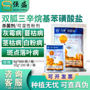 �ղ� �ٿɵ� 40%�p����������������}�������ϻ�ù���rș������