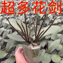 ໨mԻֲ̨k҃ȿ͏dļGֲ_