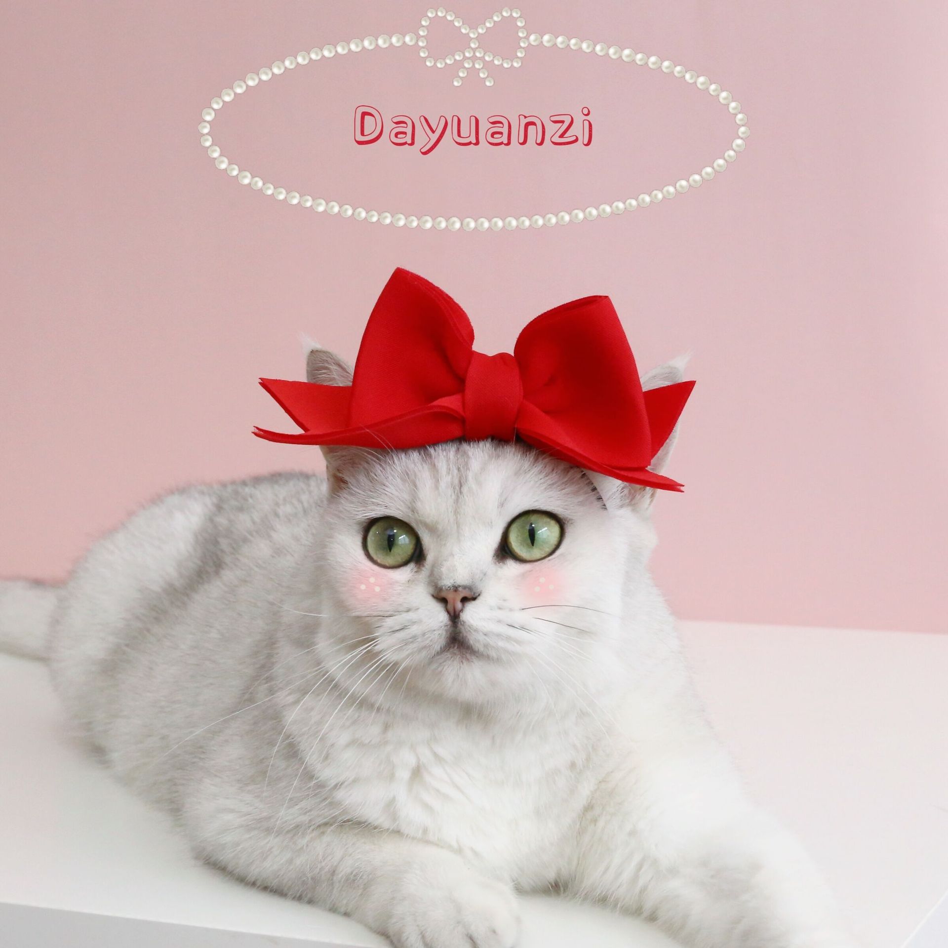 Mascota gato peluche perro tridimensional mano arco princesa estilo tocado diadema cumpleaños INS accesorios de la boda tapa image 4