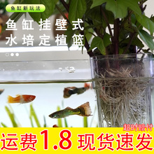 �~��ˮ��ܶ�ֲ�@�ڒ�ʽˮ�ݱ��G�}ֲ��̶���֧���쾰�b����Ʒ