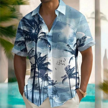 羳WrƤ2025ļu¿ʿrr3Dӡr