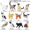 RD-kitten 12 sets