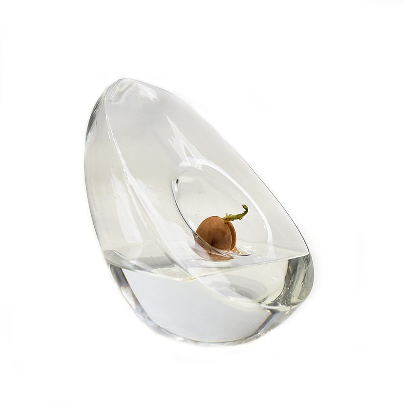 Vaso hidropónico de aguacate modelado para semillas de núcleo de aguacate, recipiente de cultivo y recipiente especial para jardinería